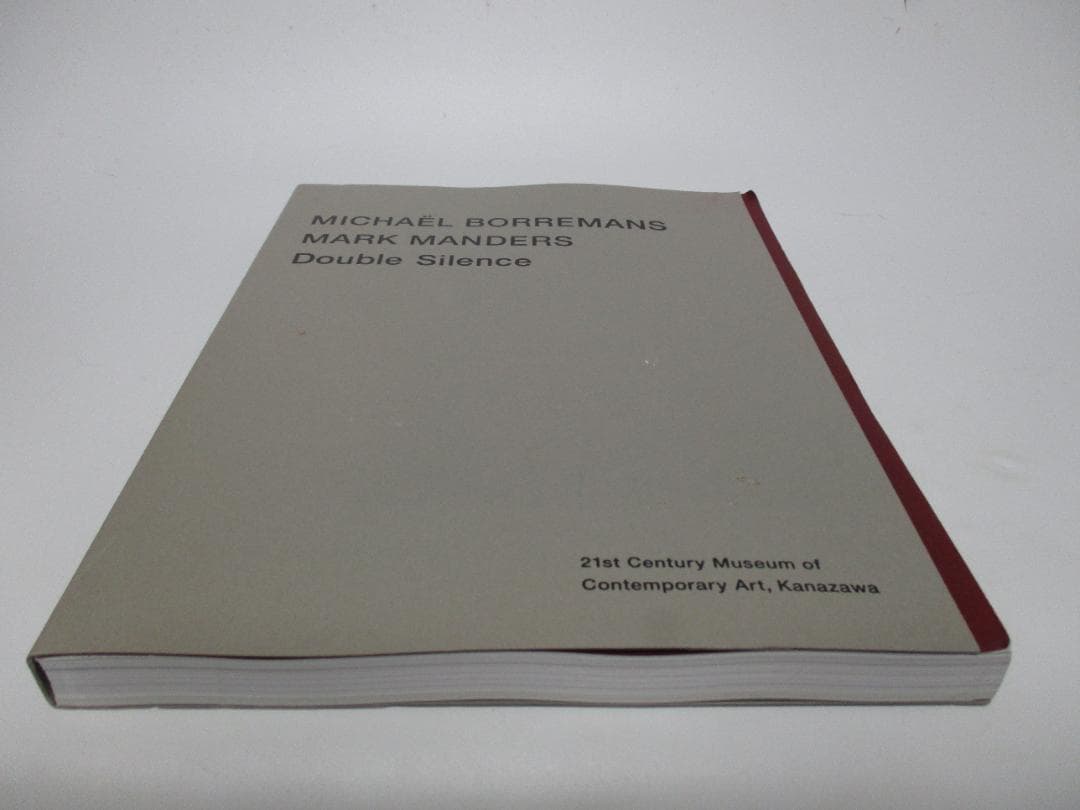 Double Silence 図録 ミヒャエル ポレマンス