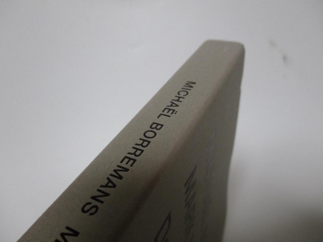 Double Silence 図録 ミヒャエル ポレマンス