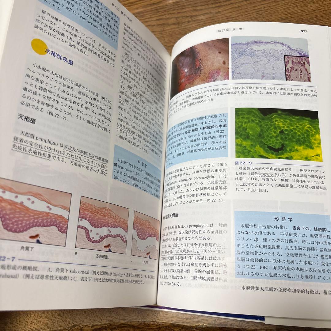 基礎病理学 第7版 basic pathology