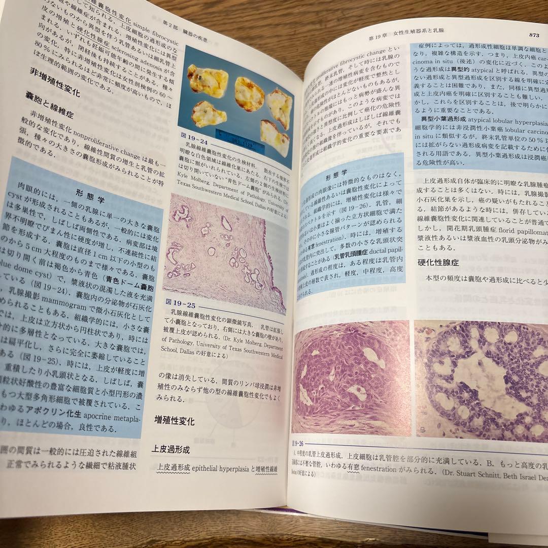 基礎病理学 第7版 basic pathology