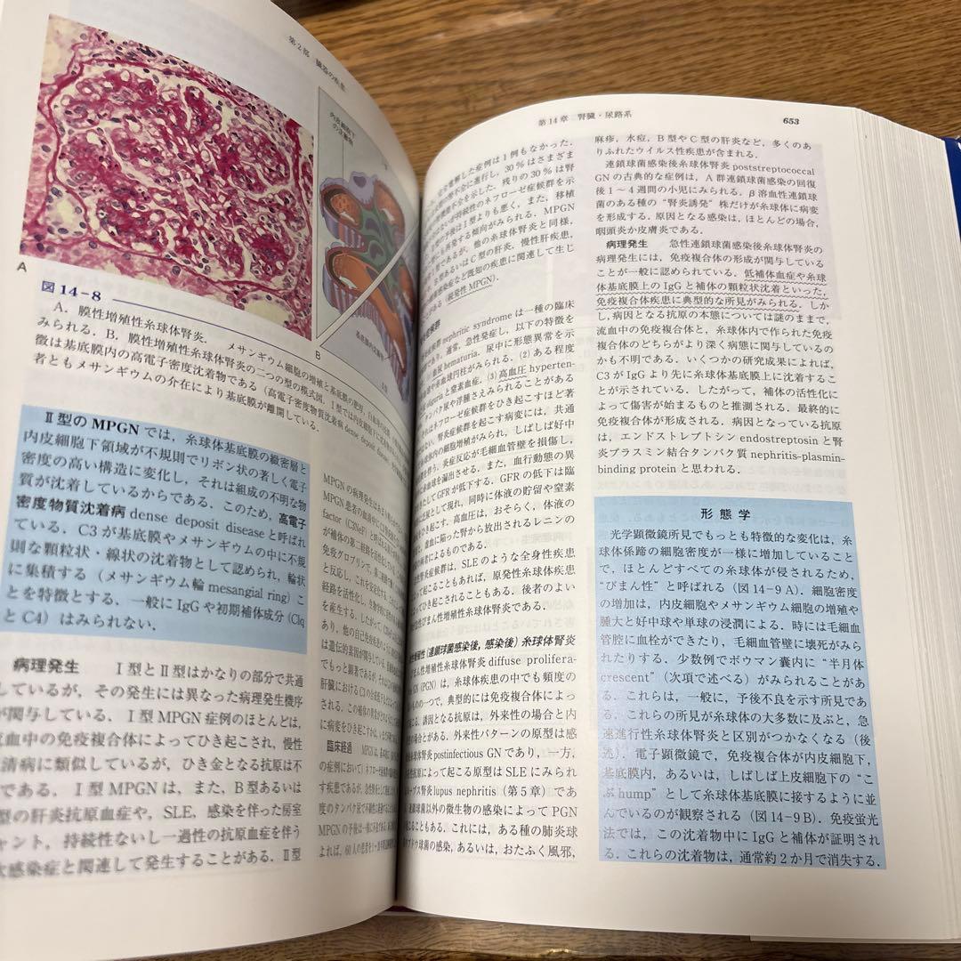 基礎病理学 第7版 basic pathology