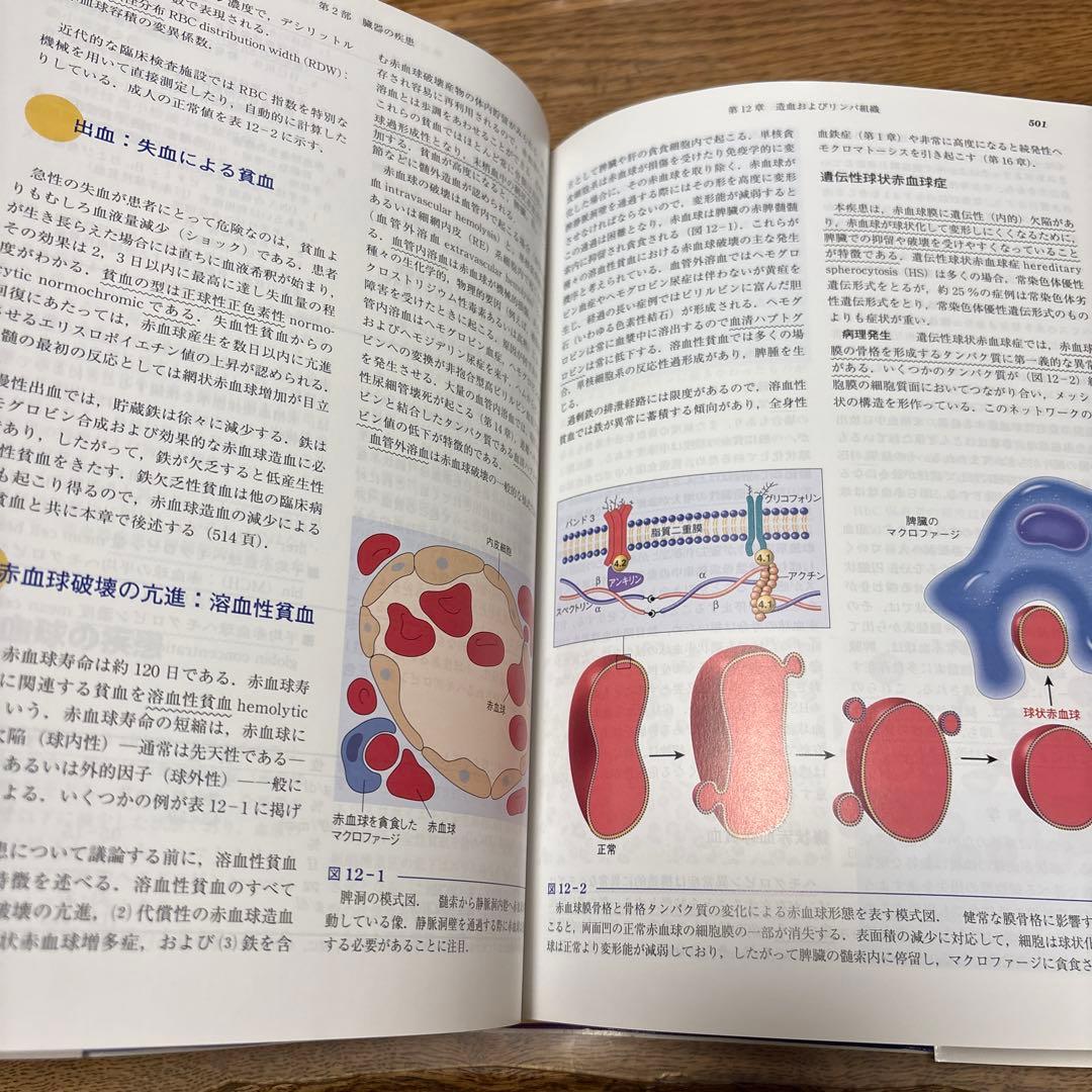 基礎病理学 第7版 basic pathology