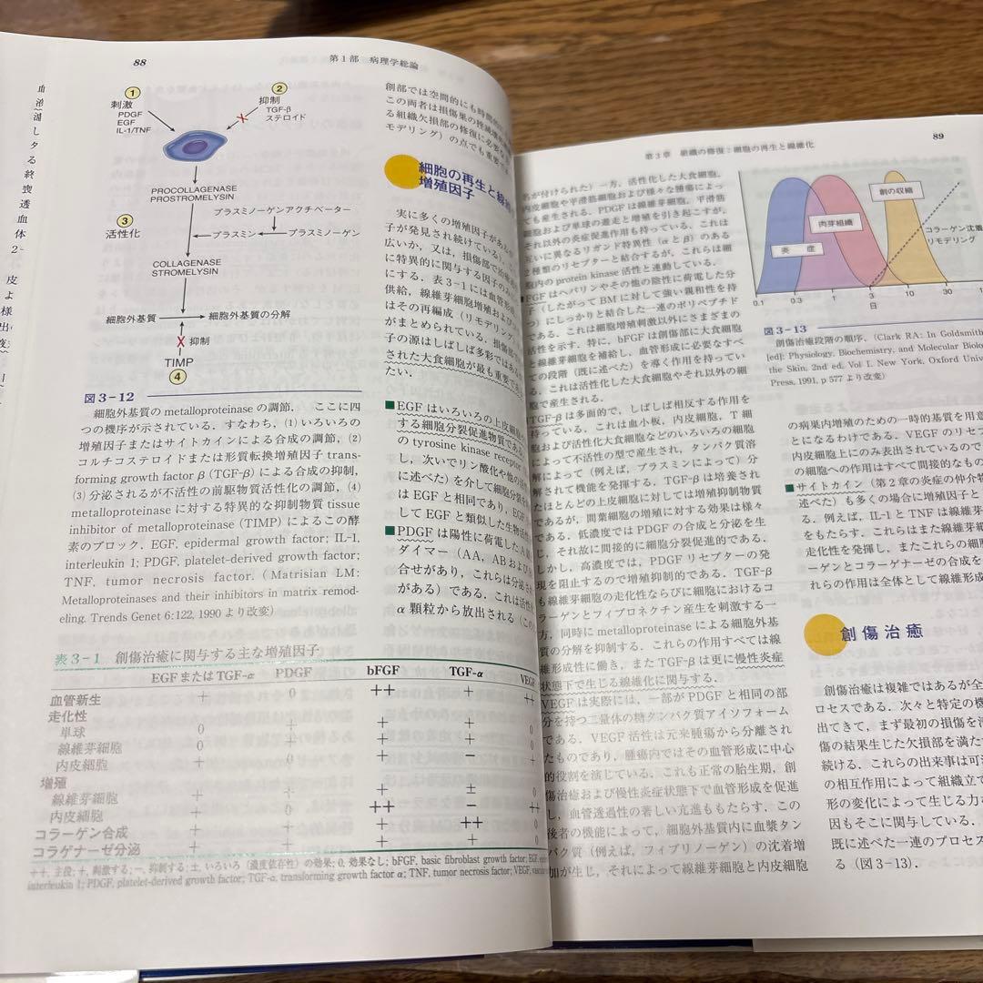 基礎病理学 第7版 basic pathology