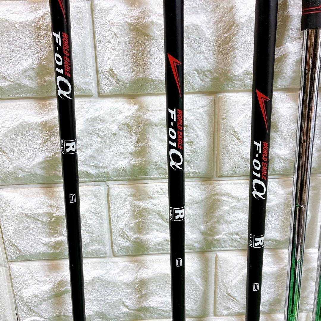 【初心者オススメ】ワールドイーグル F-01a ゴルフクラブ 10本セット 右