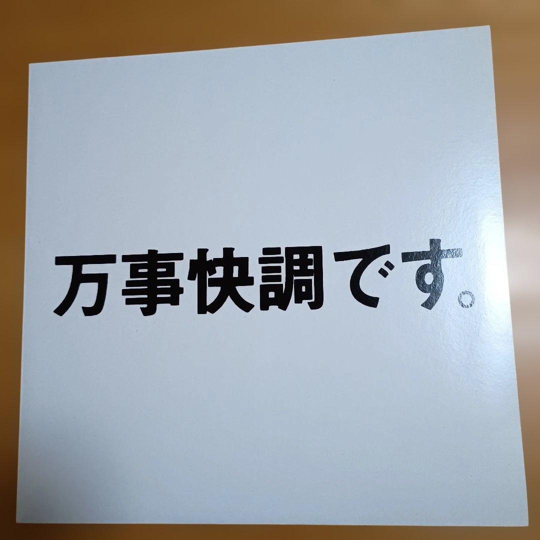 レコード　ピチカートファイブ/pizzicato five we dig you