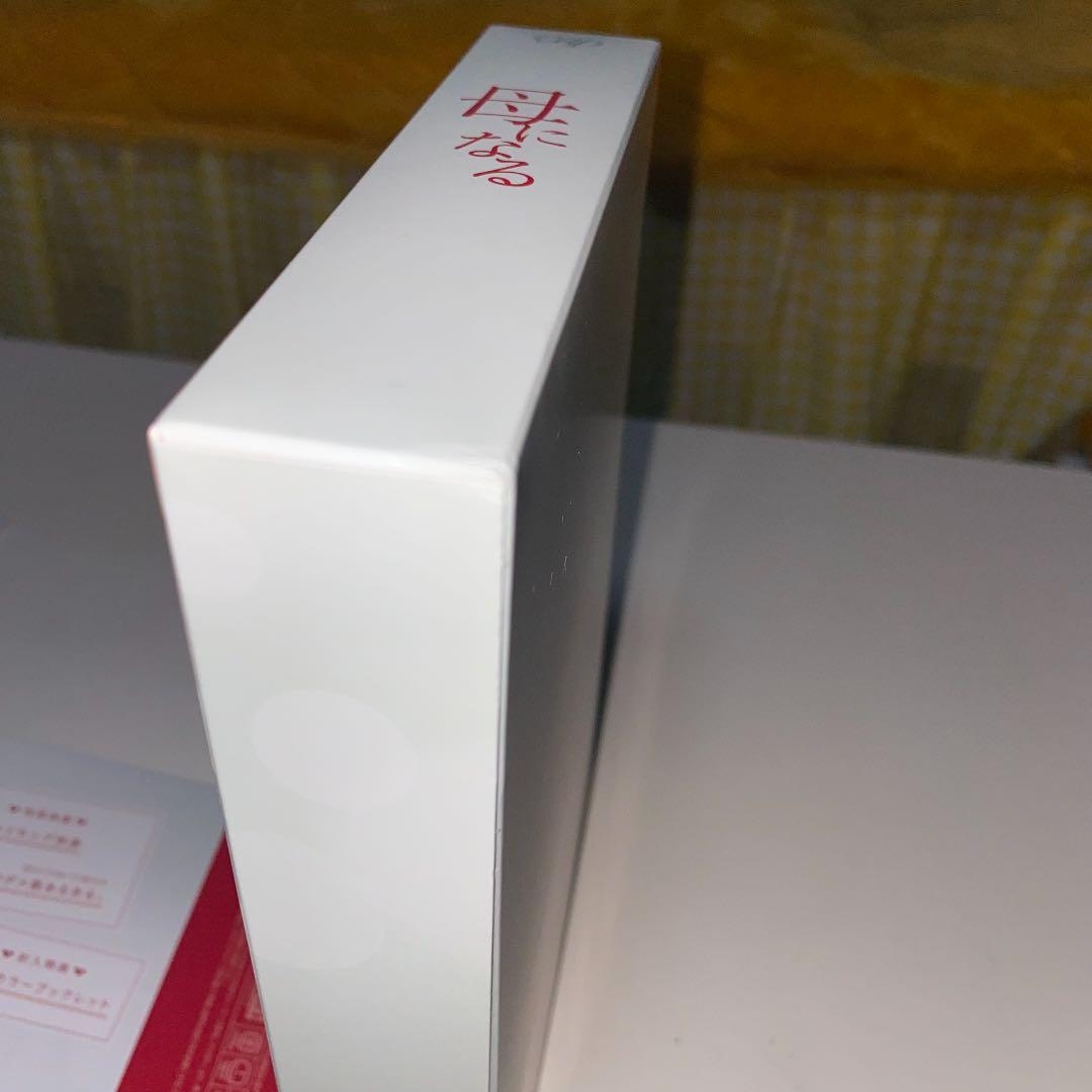 最終値下　母になる DVD-BOX〈6枚組〉　道枝駿佑