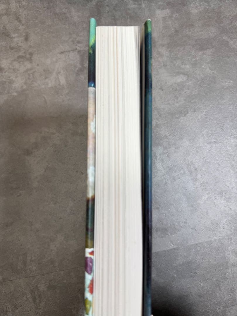 Peter Doig (Rizzoli Classics) ピーター・ドイグ