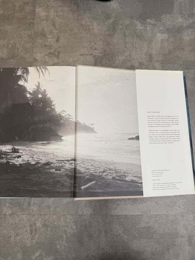 Peter Doig (Rizzoli Classics) ピーター・ドイグ