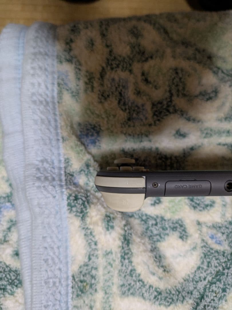 Nintendo Switch Lite グレー　SDカード128GB付き