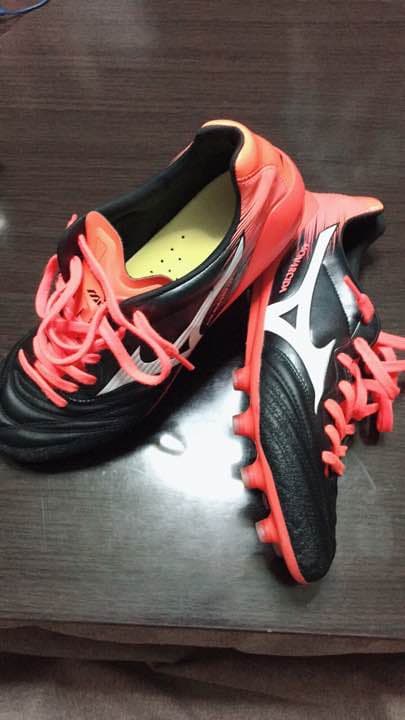 モナルシーダneo2Japan