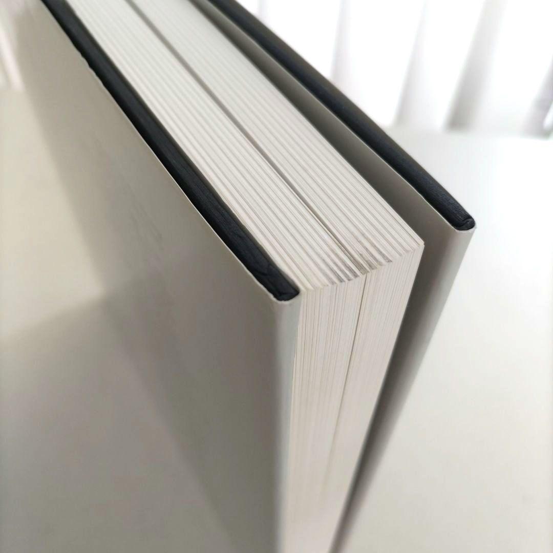 Ideal and Reality/ 絵画 水彩画 作品集 アート 画集 洋書