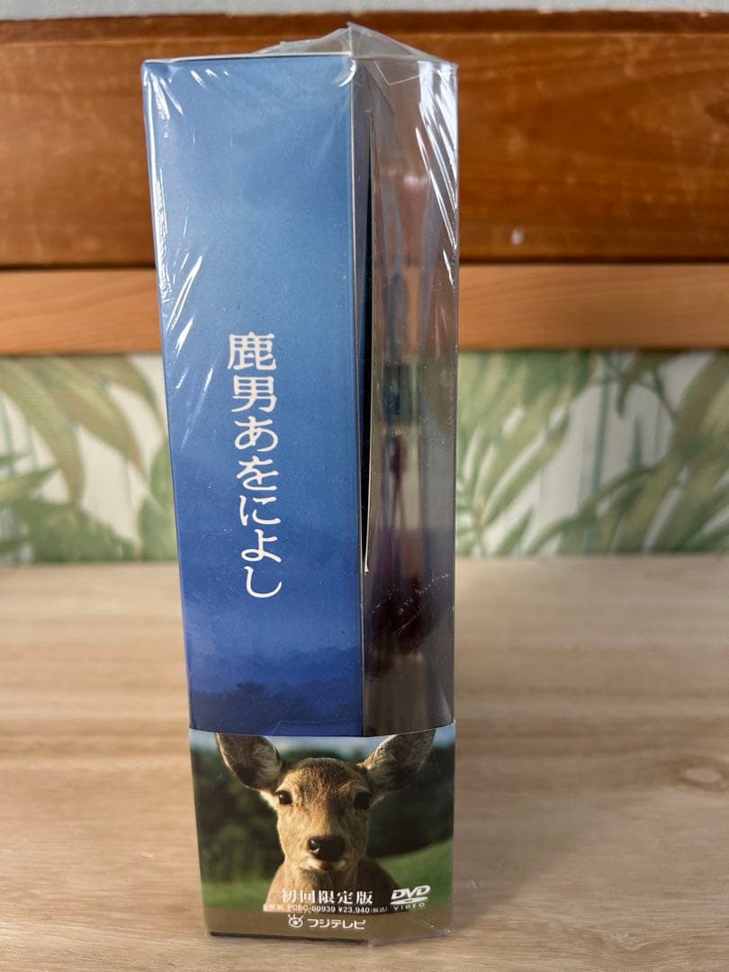 鹿男あをによし 特別版 DVD