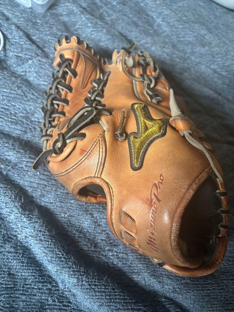 ミズノ プロ 硬式グローブ