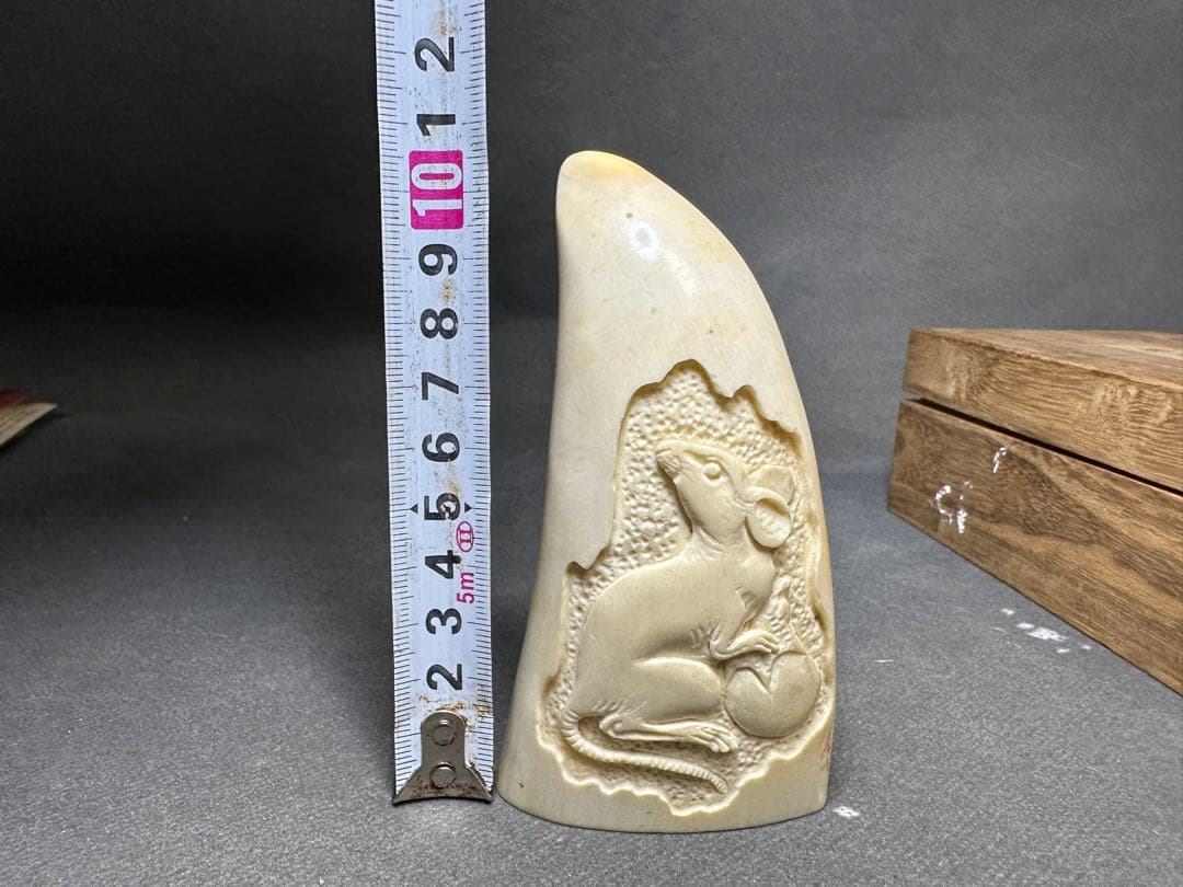 鯨歯　マッコウクジラ　天然素材　アンティーク　骨董　飾り物　古美術品　 置物