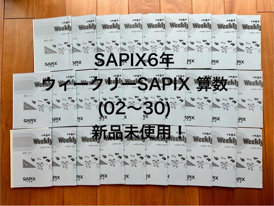 SAPIX6年 ウィークリーSAPIX算数(2~30)
