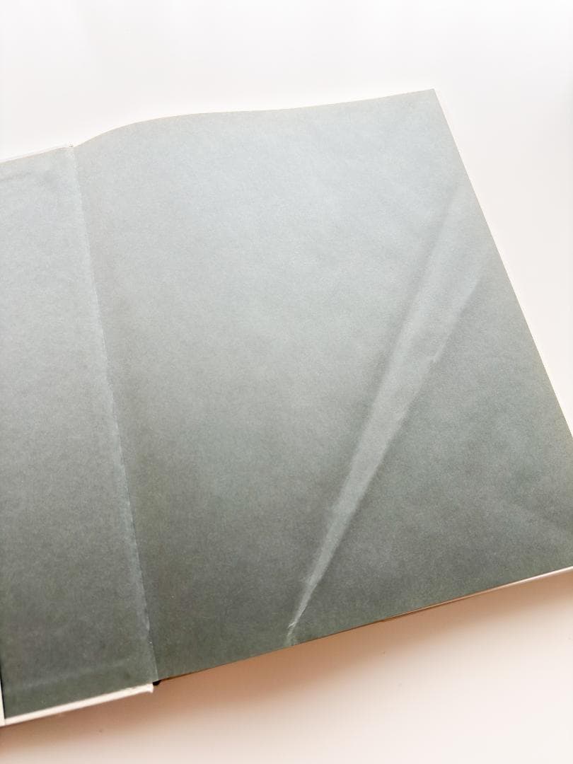 洋書 Ludwig Mies van der Rohe & Lilly Reich