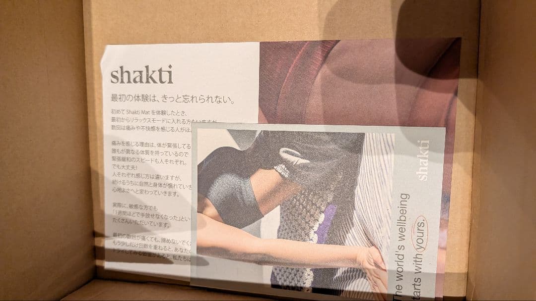 【新品正規品 箱・説明書付】究極のシャクティセット オレンジ レベル2（中強度）