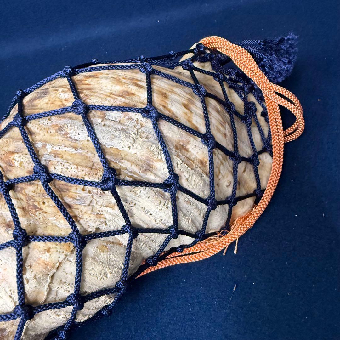 特大 ホラ貝 法螺貝 螺貝 ラッパ 雅楽 和楽器 古玩 旧家 蔵出 骨董品