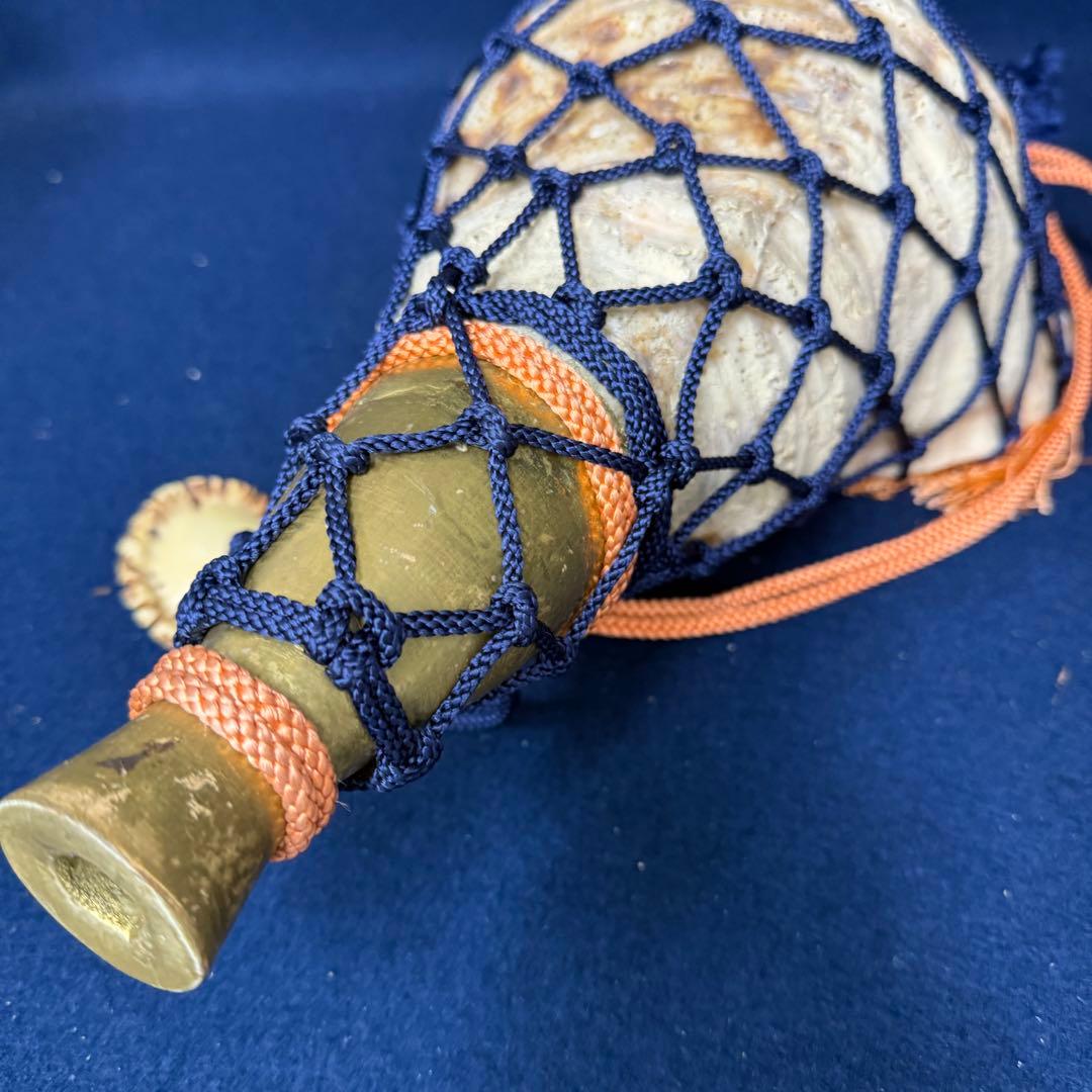 特大 ホラ貝 法螺貝 螺貝 ラッパ 雅楽 和楽器 古玩 旧家 蔵出 骨董品