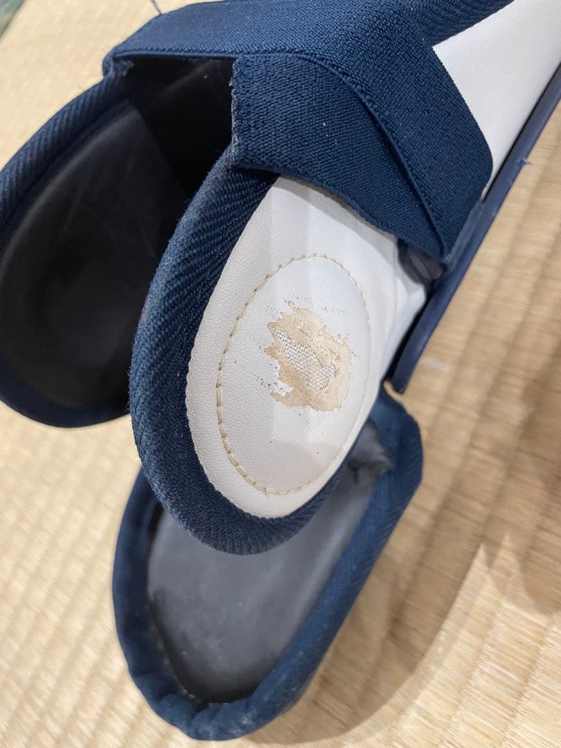 キャッチャー用レガース ミズノプロ　ネイビー ホワイト