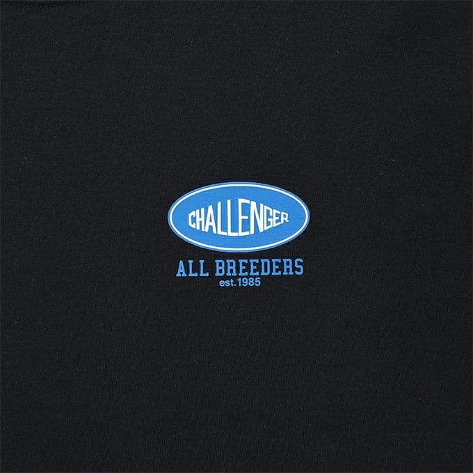 L CHALLENGER　L/S SUNSET DRIVE TEE