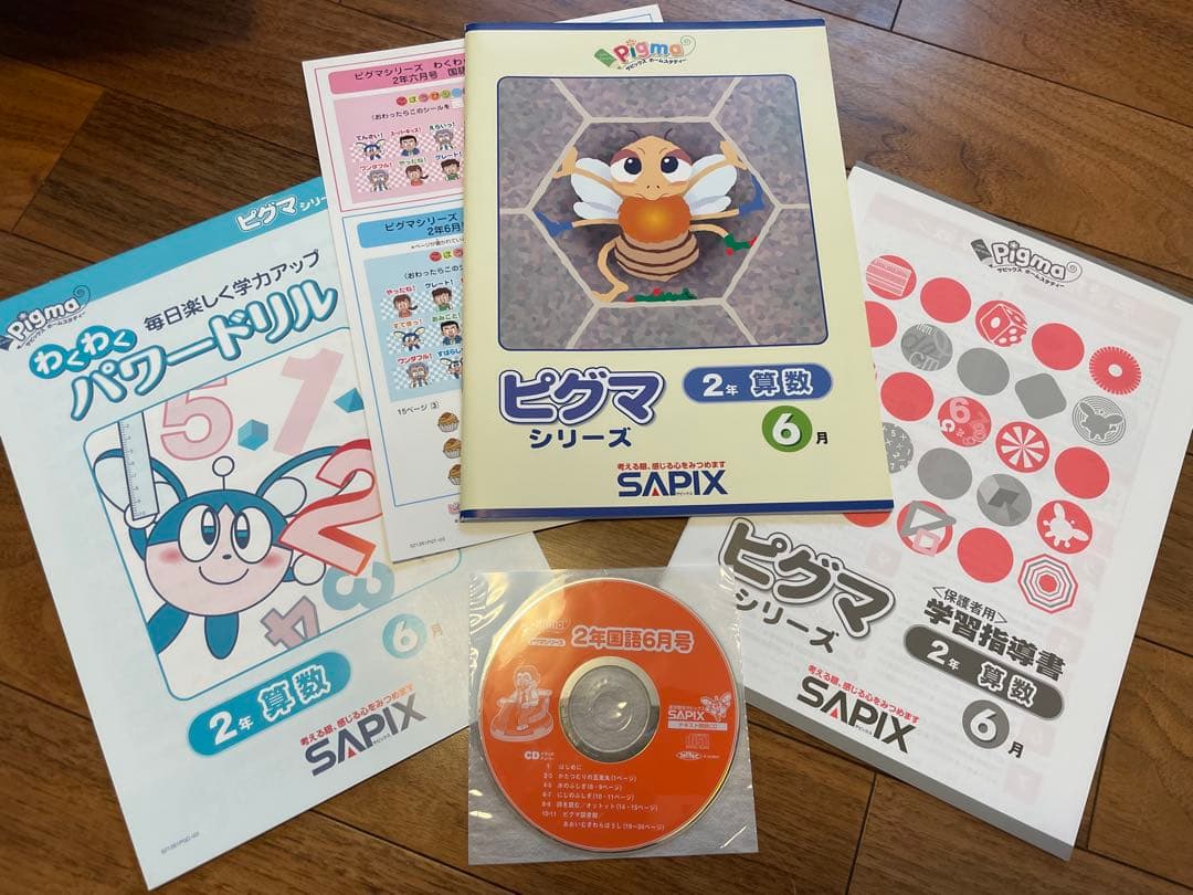 【未記入】サピックス　ピグマ　2年生　通信