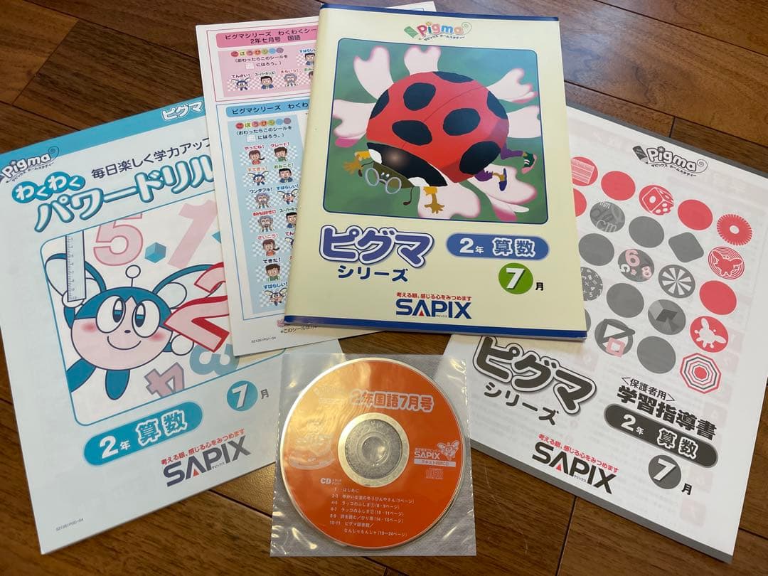 【未記入】サピックス　ピグマ　2年生　通信