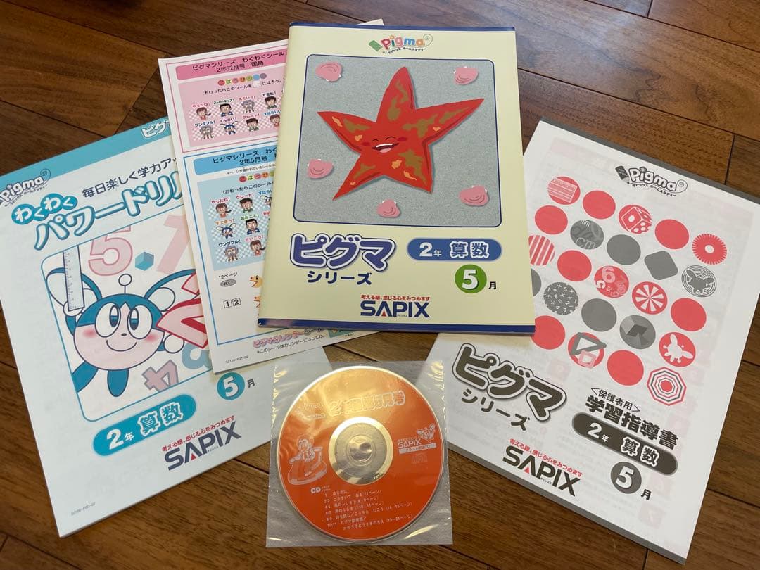 【未記入】サピックス　ピグマ　2年生　通信