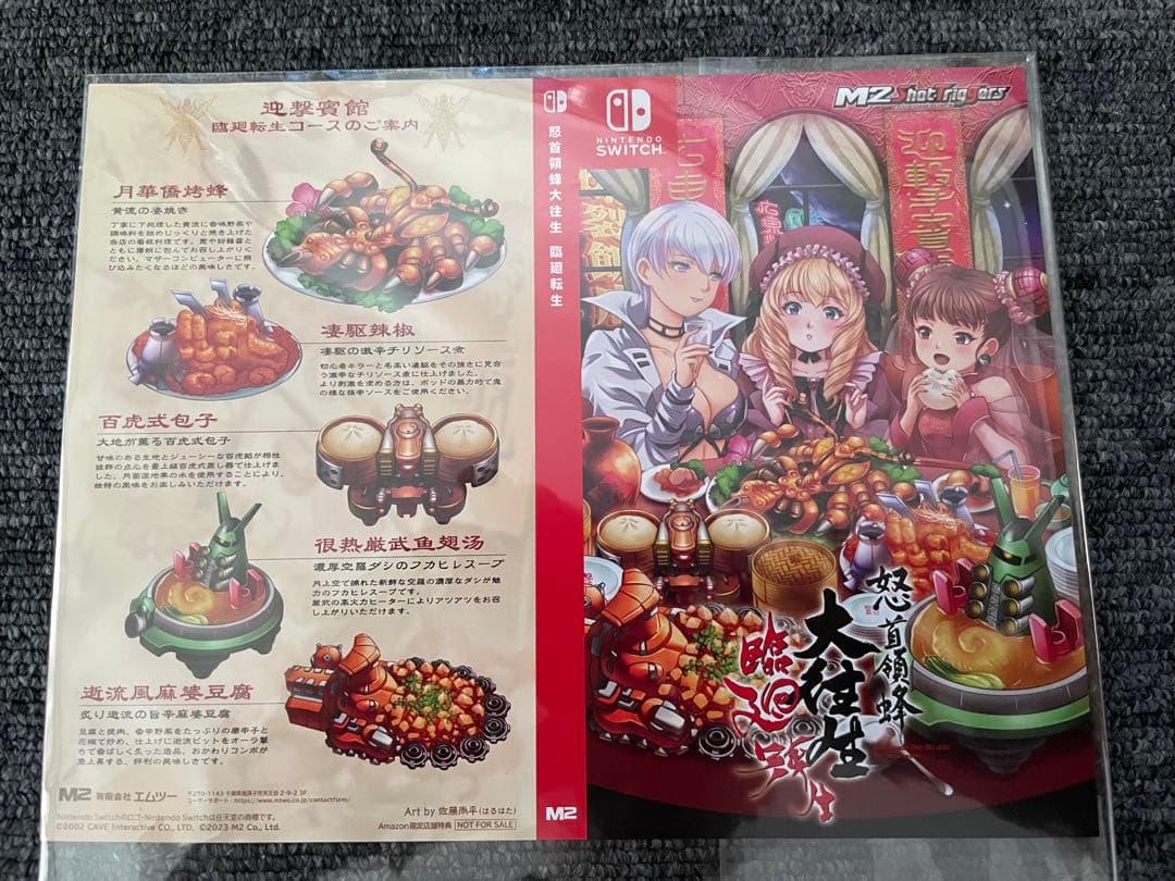 Switch 怒首領蜂大往生 臨廻転生　アナザージャケット付き