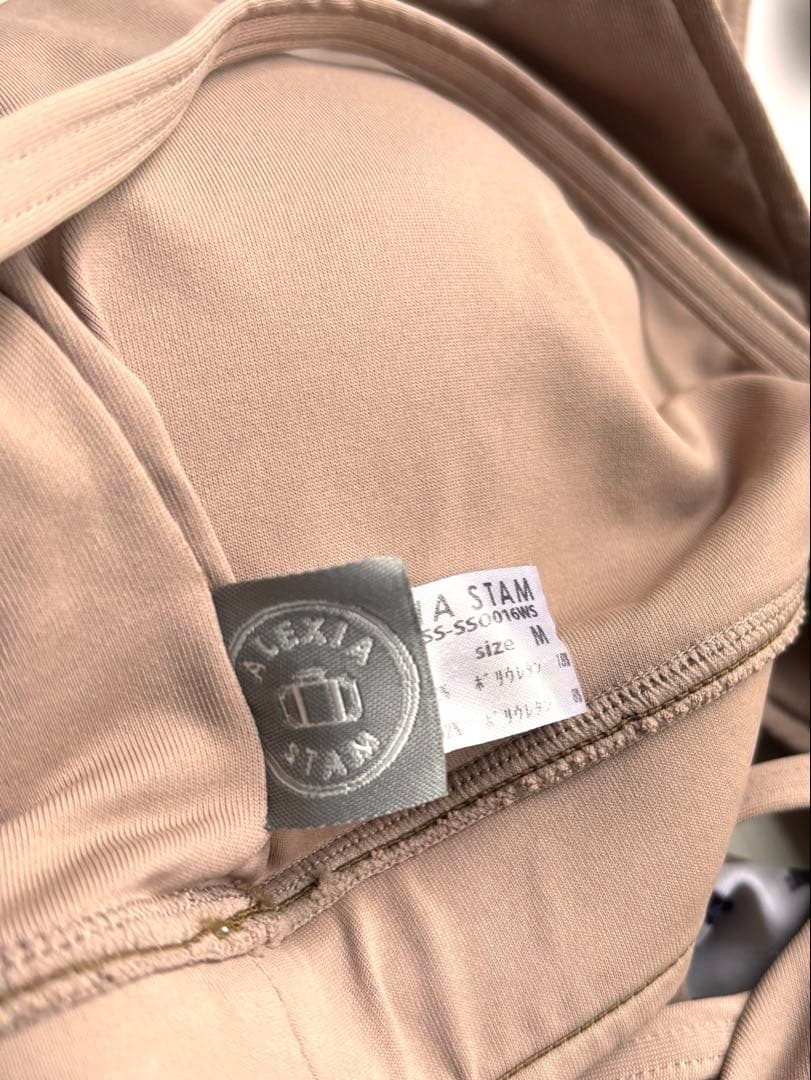 アリシアスタン 水着