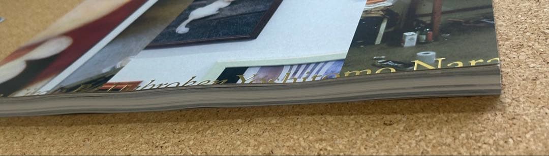 奈良美智　Will the Circle Be Unbroken 限定　写真集