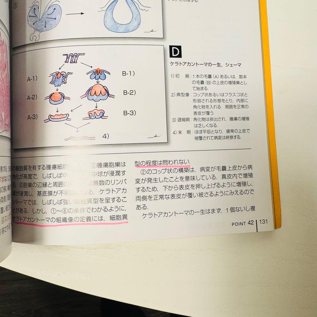 みき先生の皮膚病理診断ABC 4冊セット