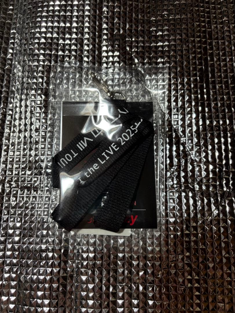 布袋寅泰 GUITARHYTHM VIII TOUR 武道館