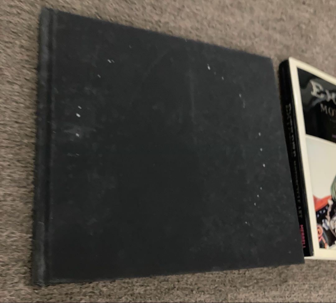 EXTREME MOTORCYCLE ART カスタムバイクのカラーの洋書写真集