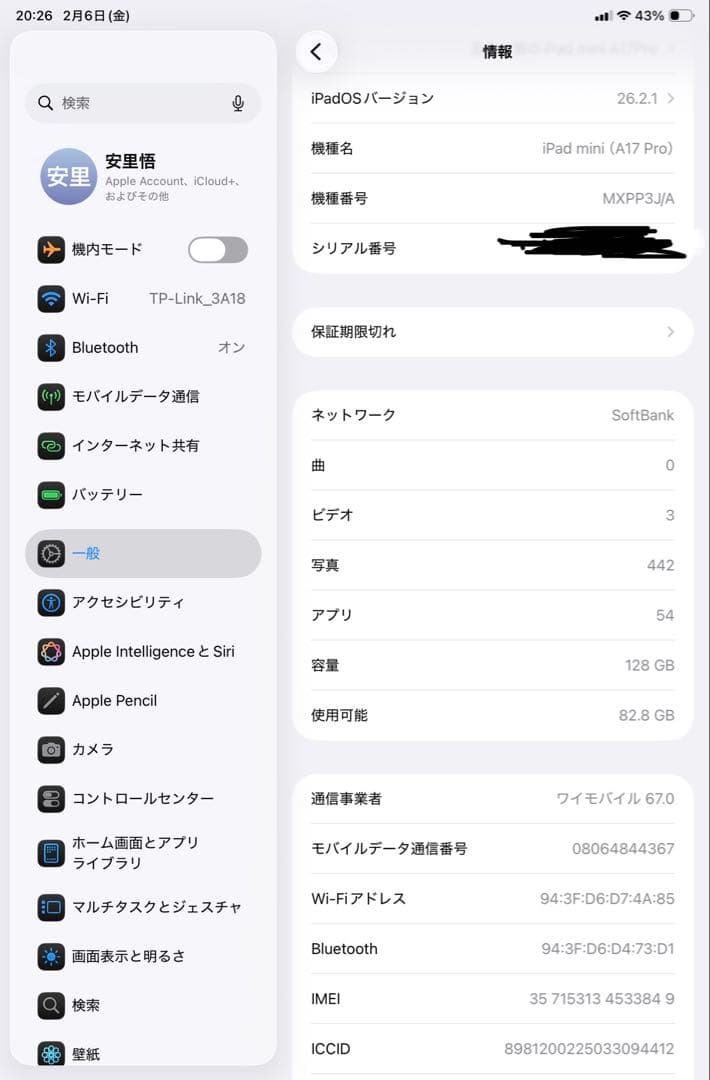 iPad mini A17pro 128G セルラーモデル　第7世代