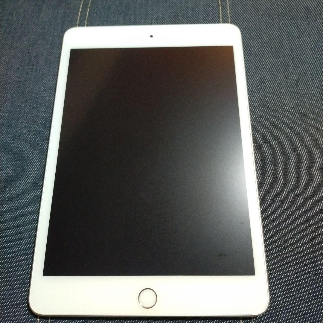 Apple iPad mini Wi-Fi 第5世代 256GB 本体