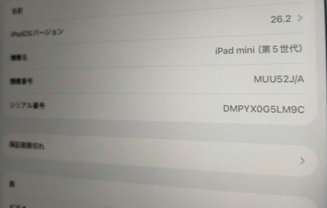 Apple iPad mini Wi-Fi 第5世代 256GB 本体