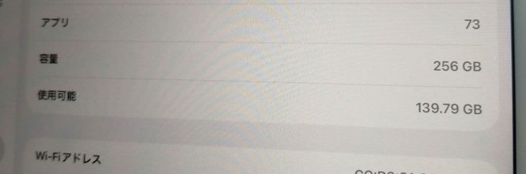 Apple iPad mini Wi-Fi 第5世代 256GB 本体