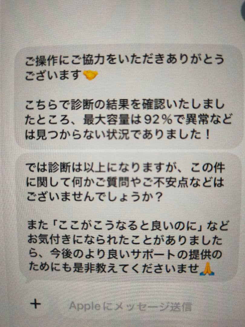 Apple iPad mini Wi-Fi 第5世代 256GB 本体