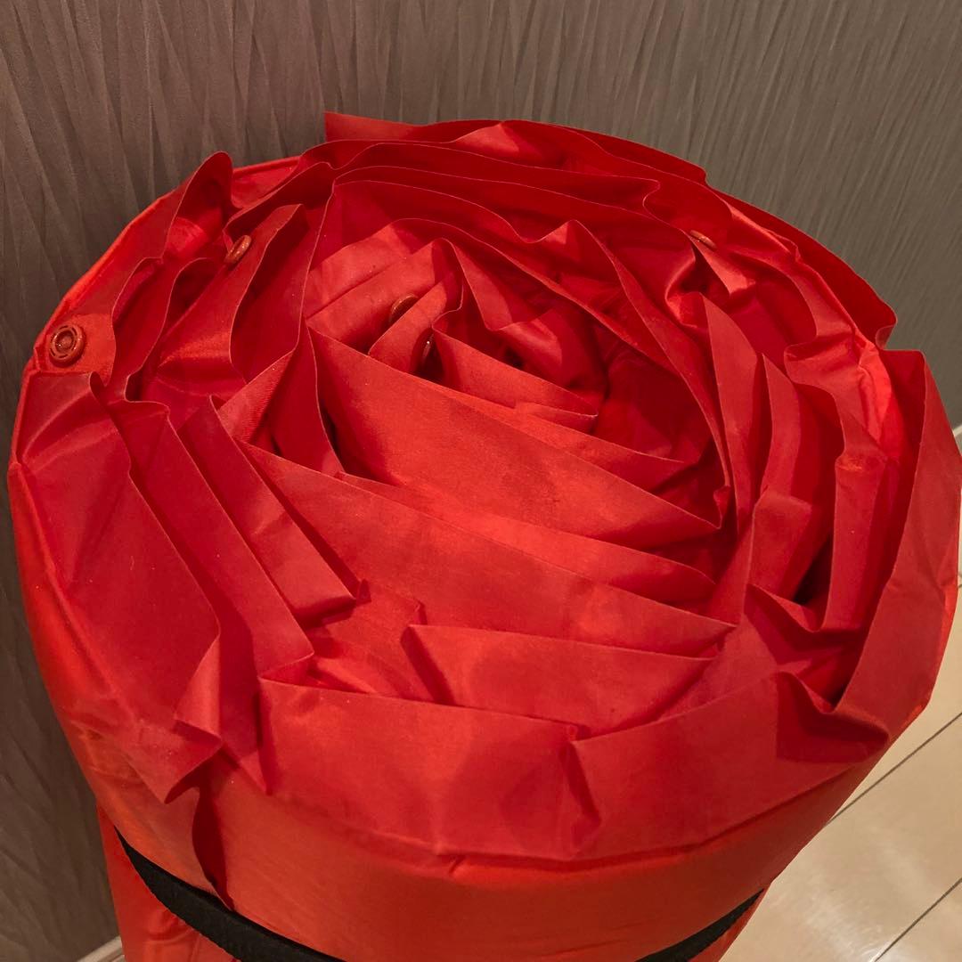 未使用　直営店限定　コールマン　キャンパー　インフレーターマット　ダブル