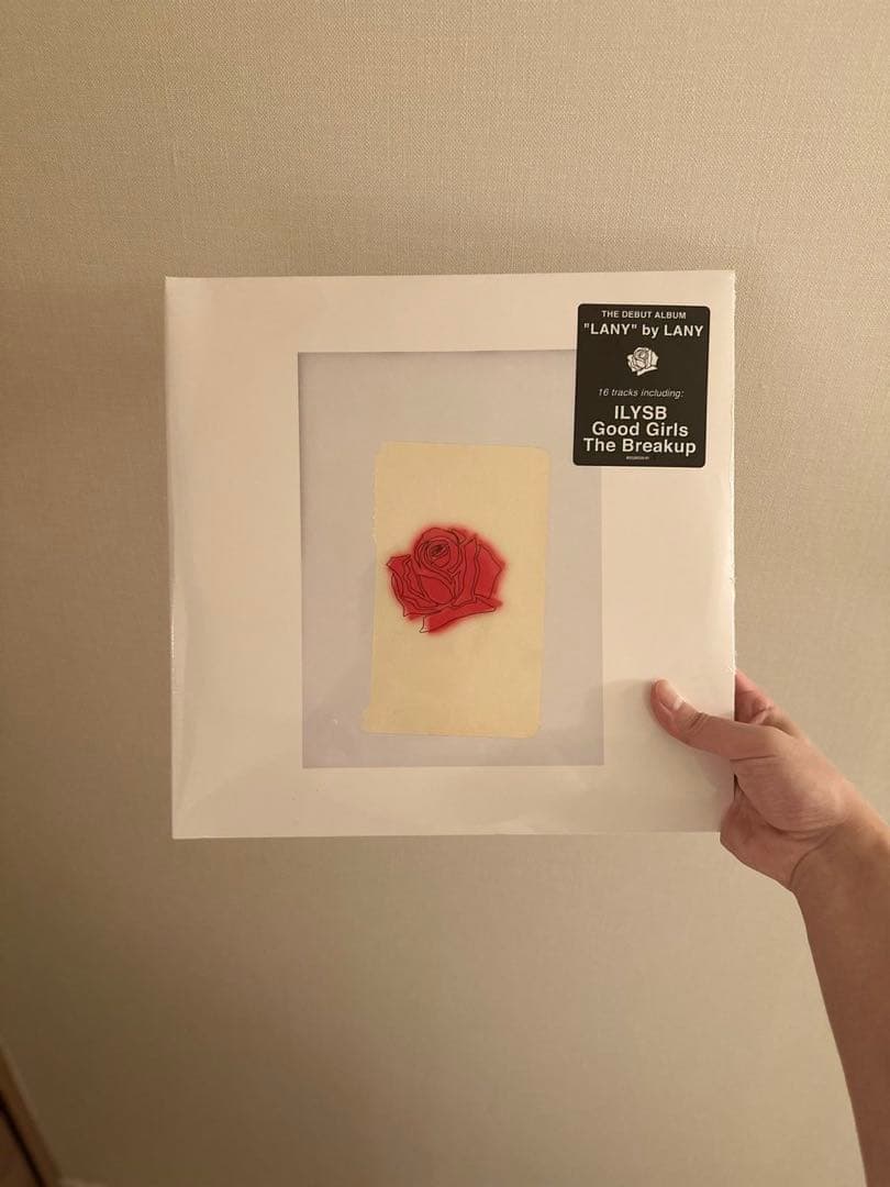 新品未開封　LANY レコード