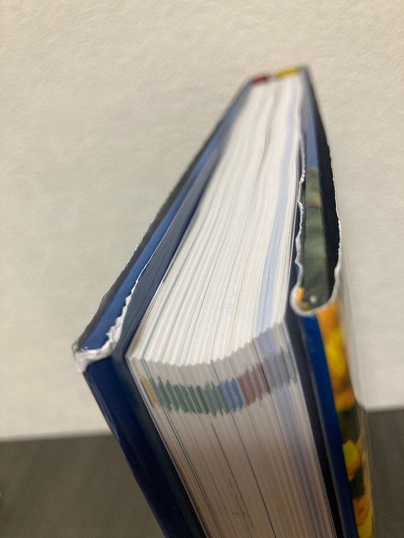 ホメオパシー大百科事典 新ビジュアル版