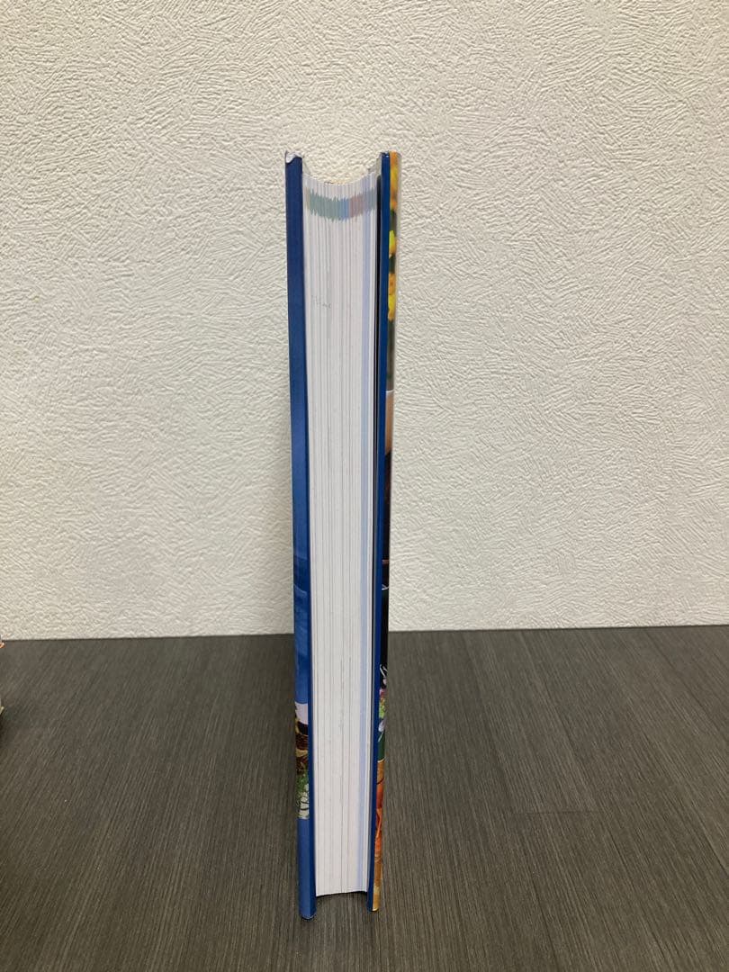 ホメオパシー大百科事典 新ビジュアル版