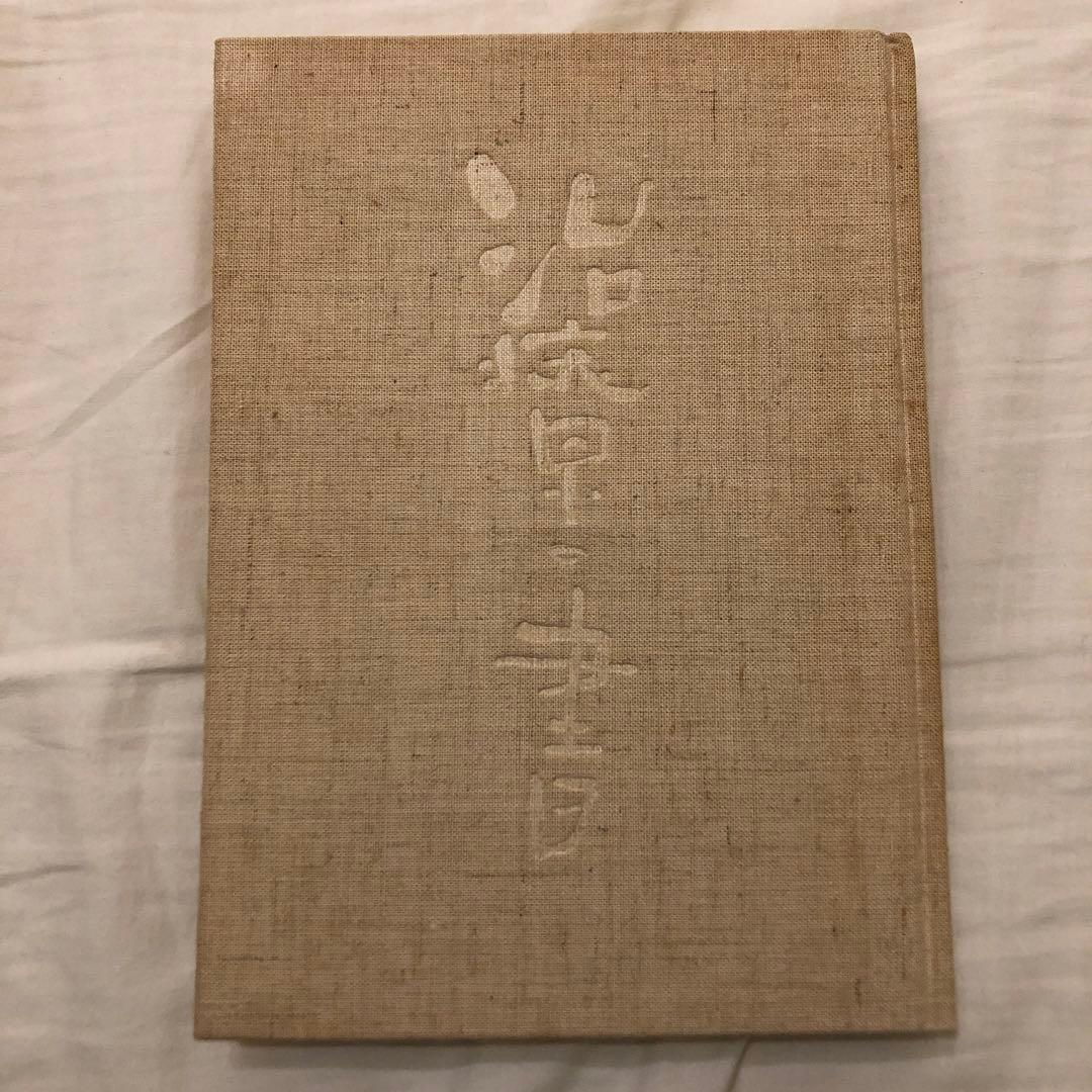 治療の書　野口晴哉