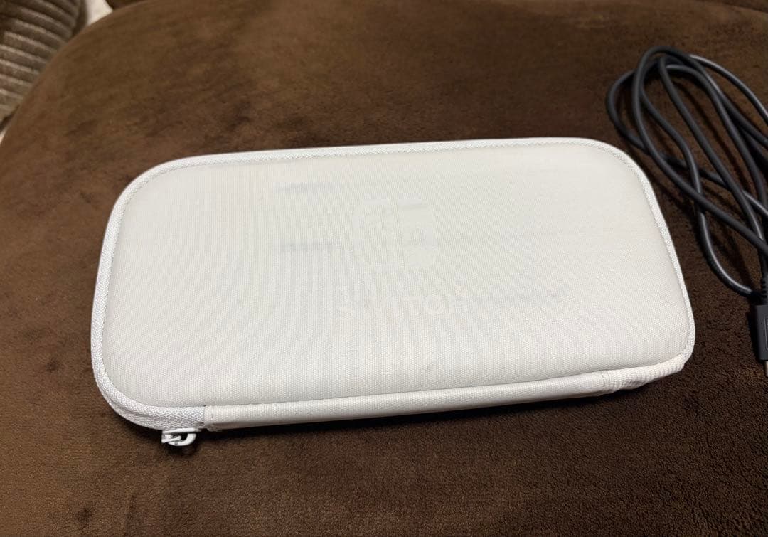 Nintendo Switch Lite グレー 本体 充電器 ケース付き