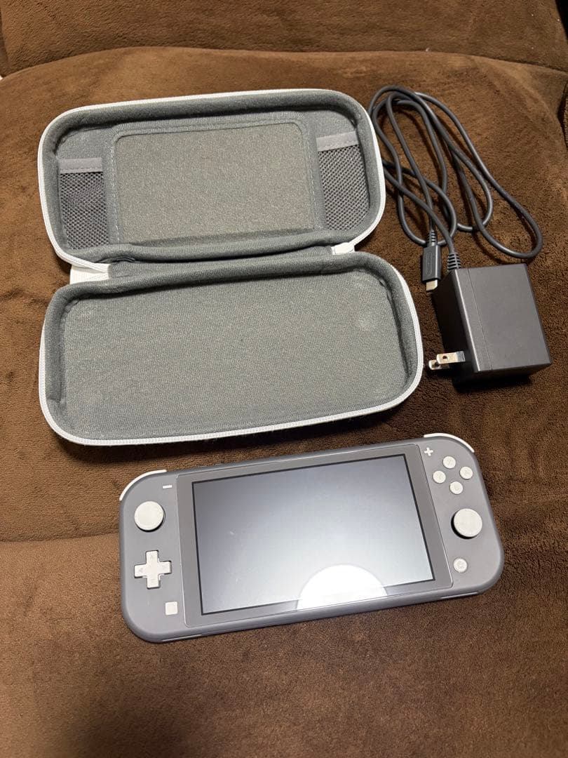 Nintendo Switch Lite グレー 本体 充電器 ケース付き