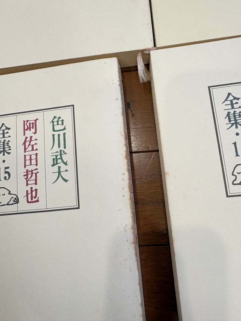 色川武大 阿佐田哲也全集 14巻 「道路の虹」あちゃらかぱい人生修羅場ノオト