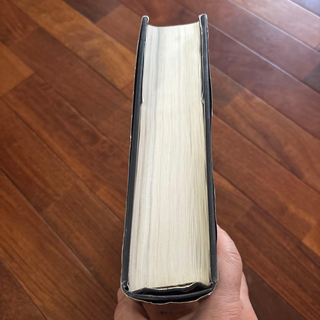 DALÍ The Paintings DALI ダリ全集 希少 英語版