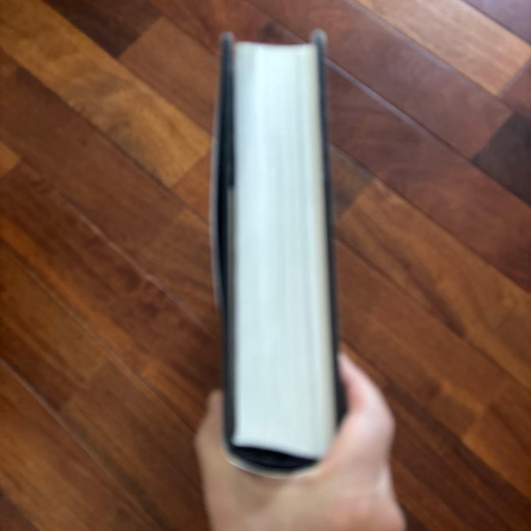 DALÍ The Paintings DALI ダリ全集 希少 英語版