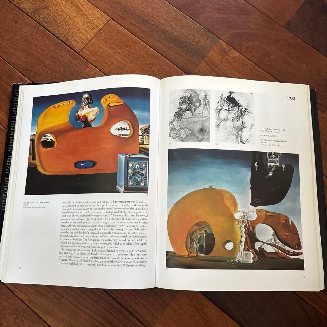 DALÍ The Paintings DALI ダリ全集 希少 英語版